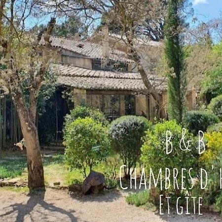 Bed and Breakfast Aux Berges Du Pont Du Gard Vers-Pont-du-Gard Exterior foto