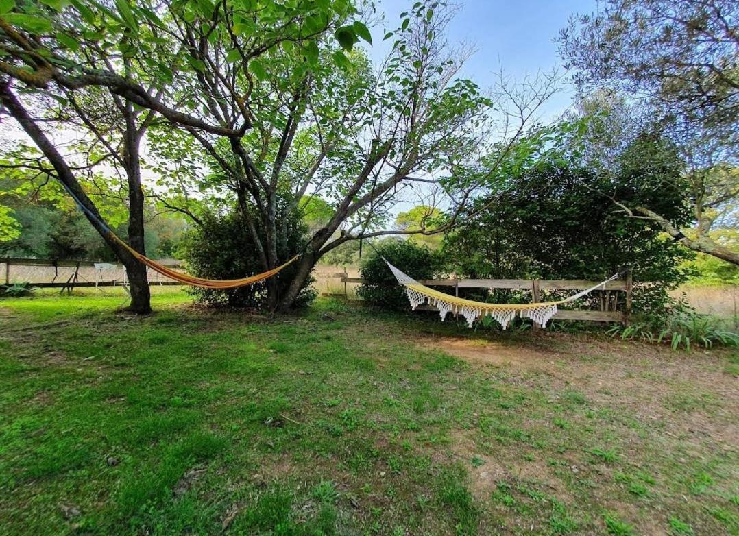 Bed and Breakfast Aux Berges Du Pont Du Gard Vers-Pont-du-Gard Exterior foto