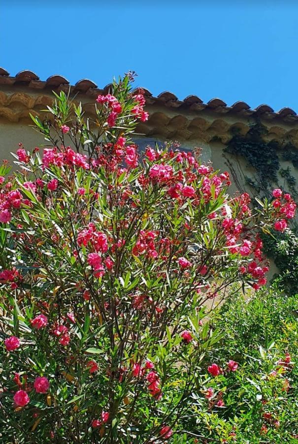 Bed and Breakfast Aux Berges Du Pont Du Gard Vers-Pont-du-Gard Exterior foto